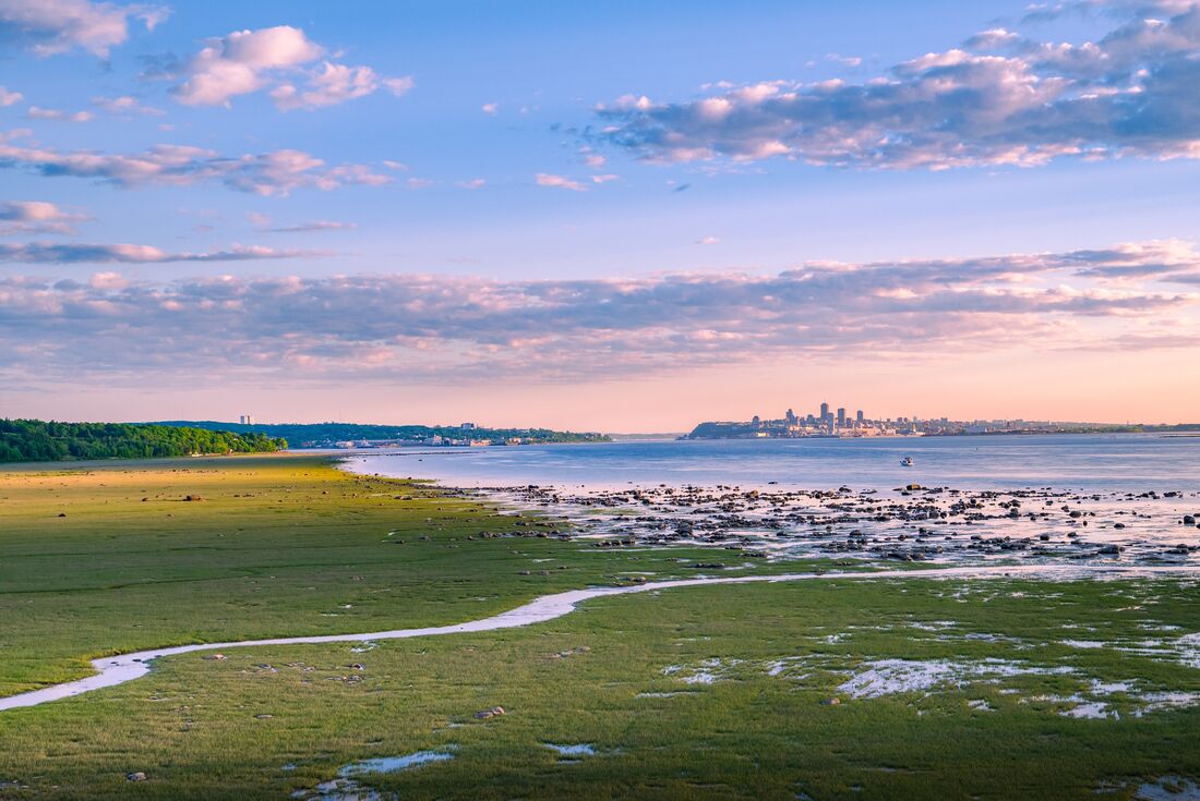 A tiny gentle stream from the ocean works its way onto a coastal plain on Ile d'Orleans with Quebec City vsible on the horizon