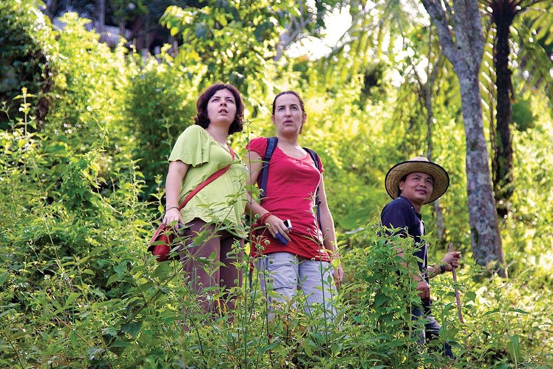 TMPB - Group trekking around forest jungle with local guide