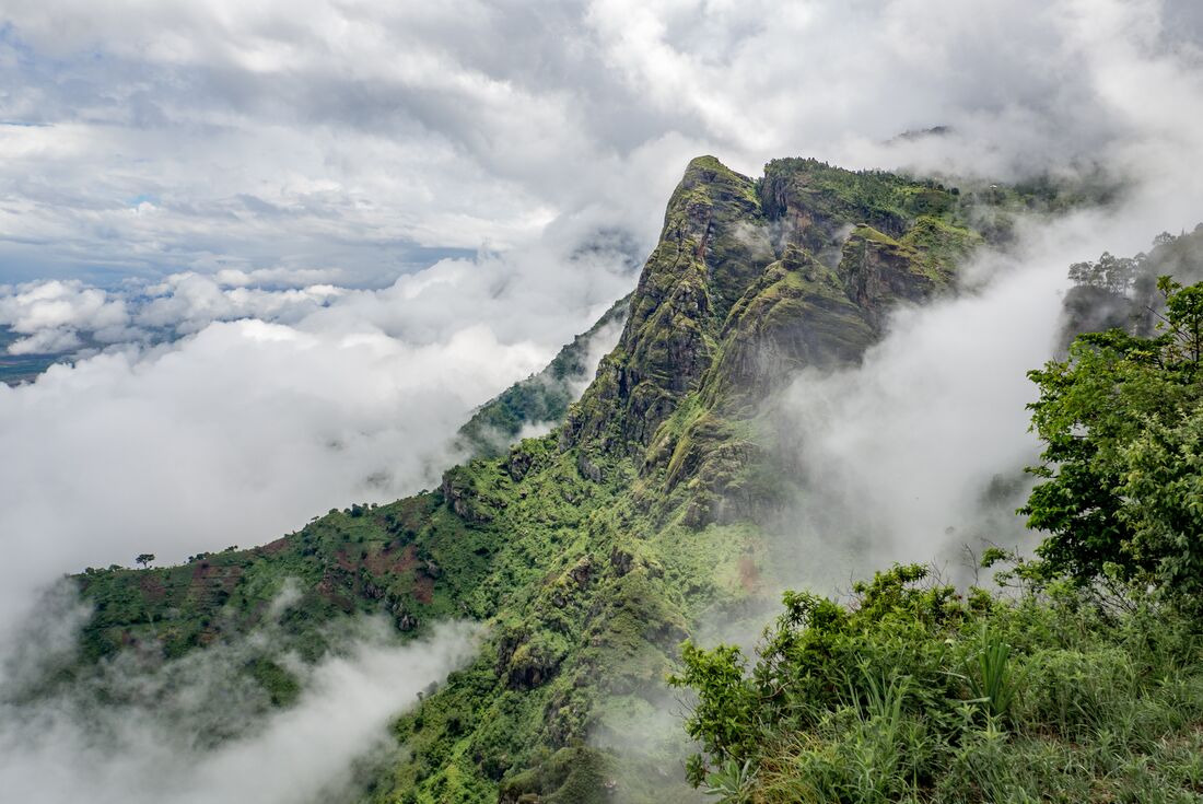 The mists of Usambara Mountains