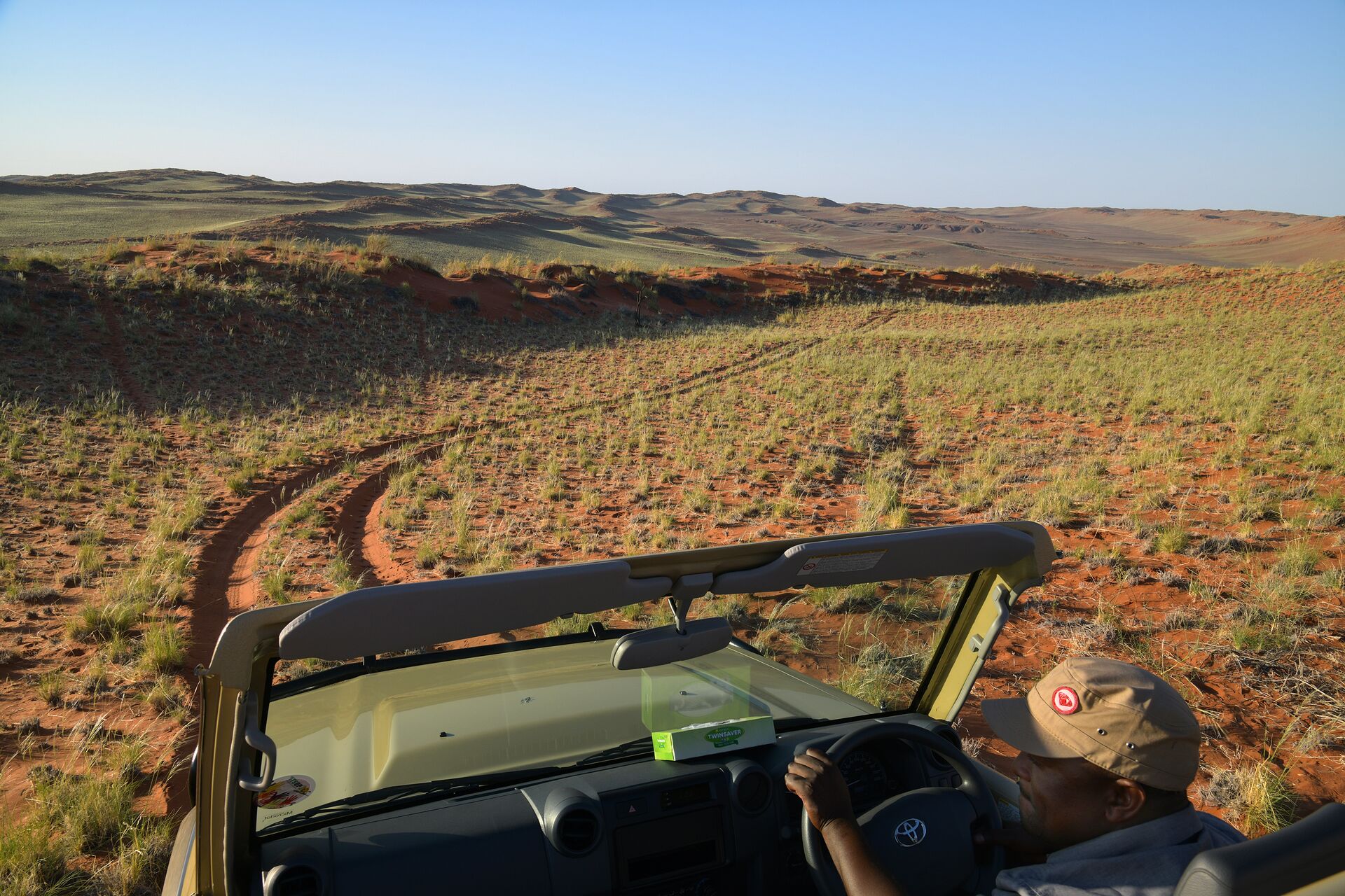 Venture out on a desert safari