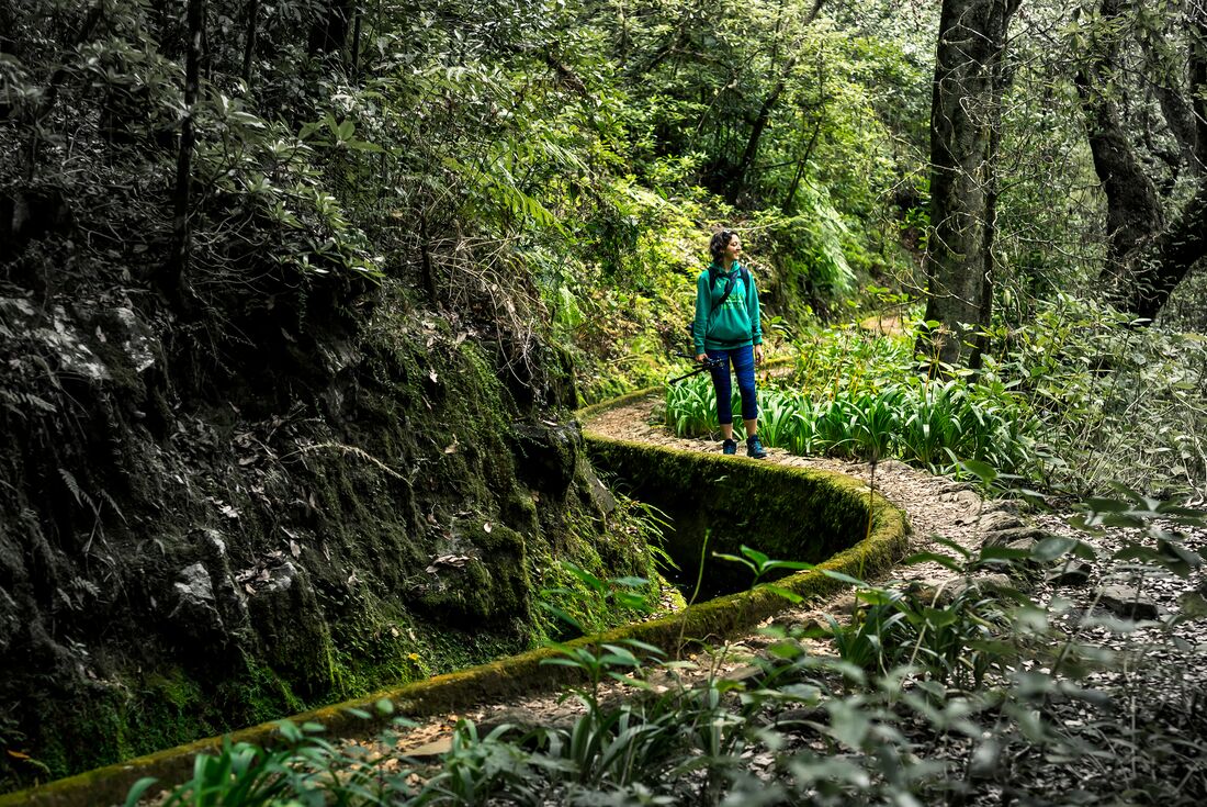 Intrepid traveller in the misty cloud forest of the Levada do Risco on Madeira Island 