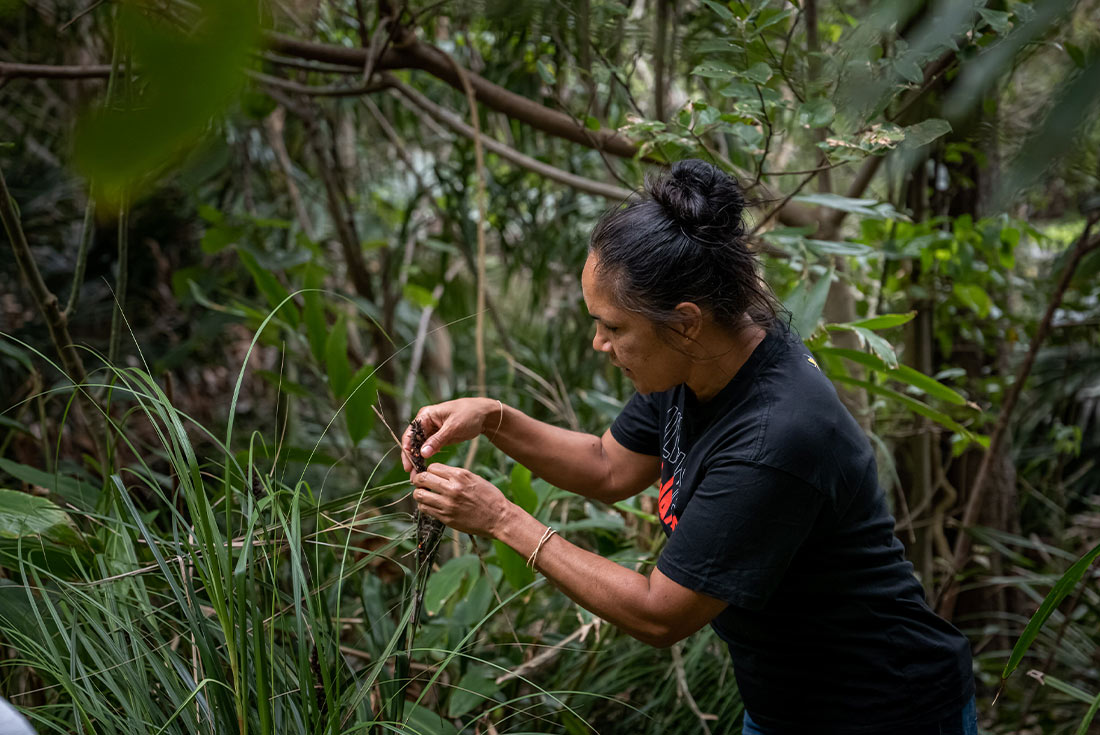 Cape Byron Aboriginal tour local leader