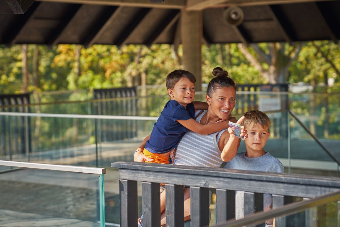 Visiting the conservation centres of Borneo