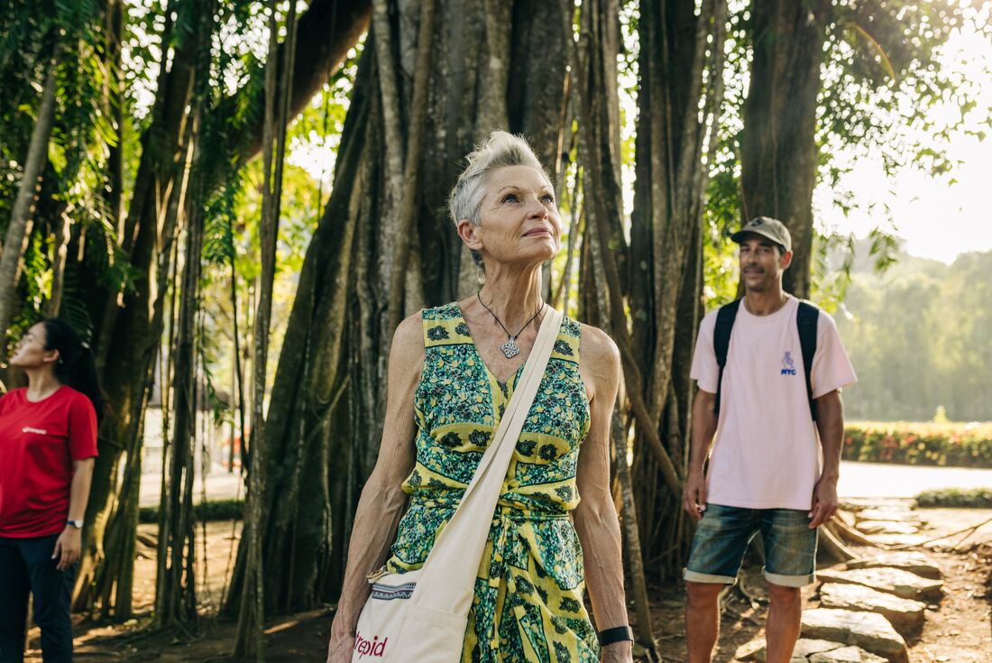 Senior traveller marvels at banyan trees near Ninh Binh 