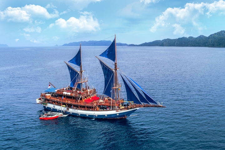 Sea Safari 8 boat sailing