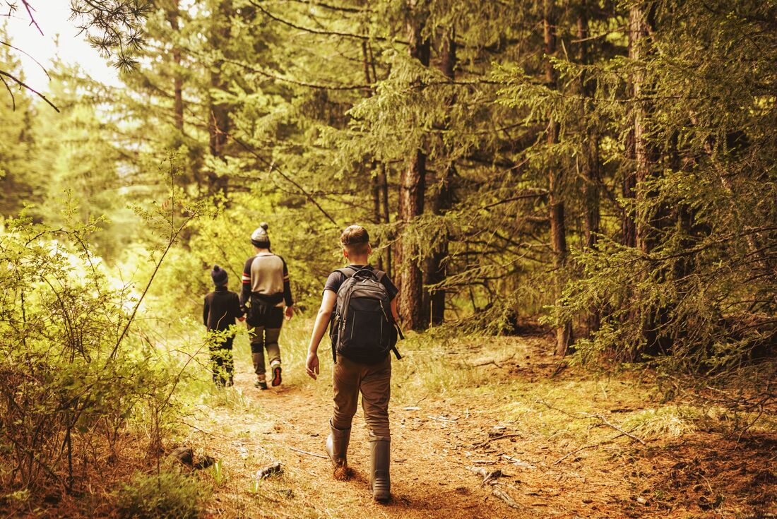Family on a hike explore Finland's summer pine forests outside Levi