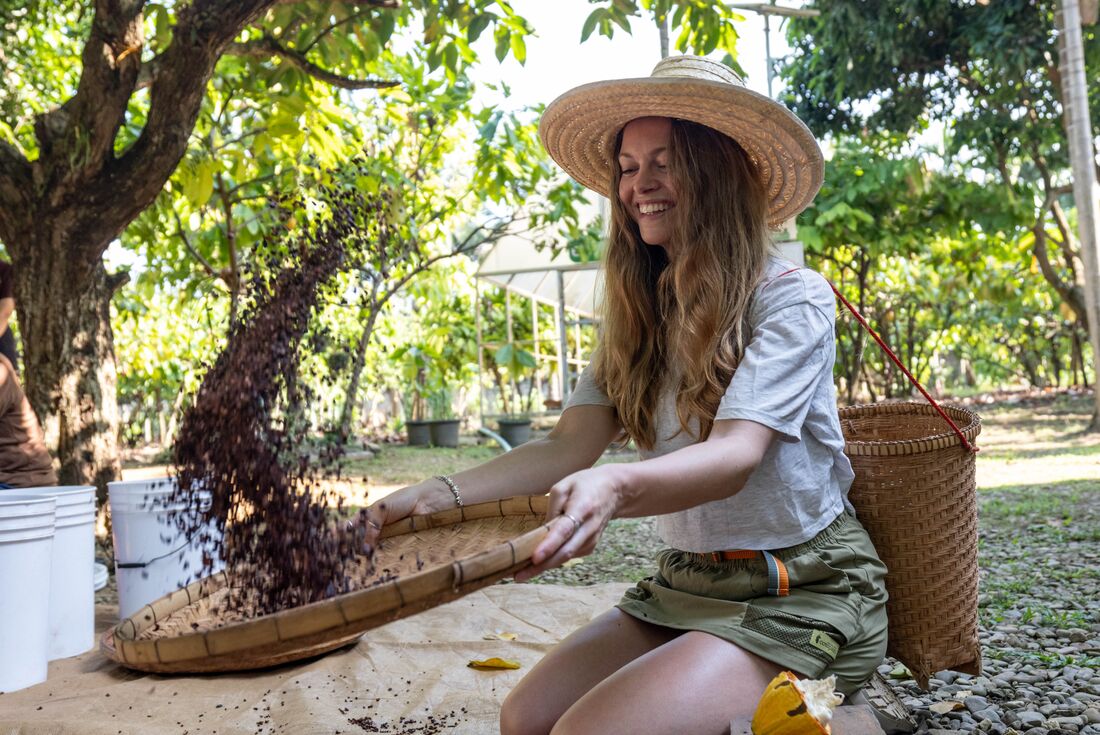 Traveller smiling while tossing cocoa beans in Coca Valley Farm, Thailand