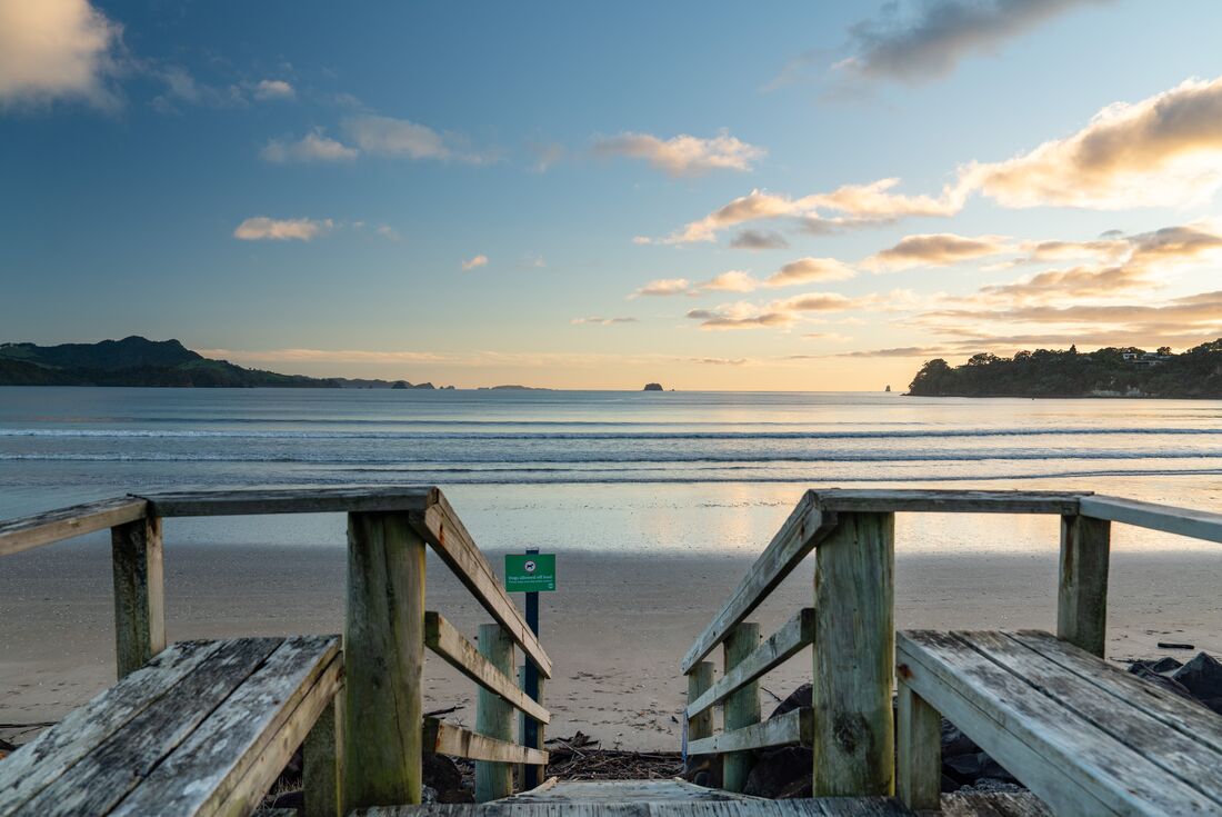 Sunrise view of Coromandel Peninsula beach, New Zealand