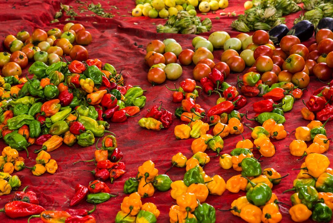 Freshly grown peppers at a stall in Albert Market, Banjul, The Gambia