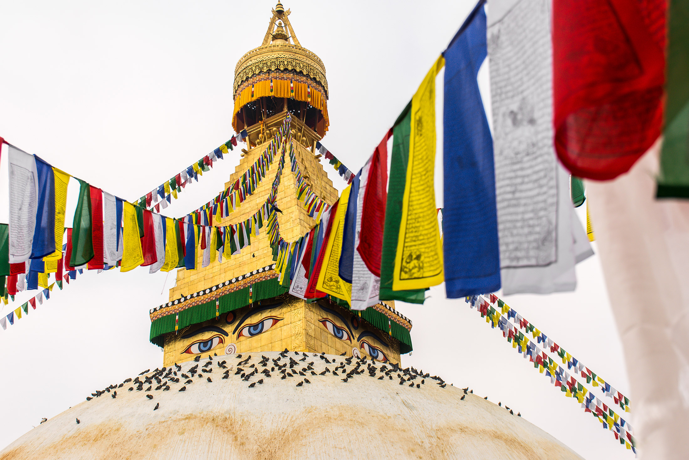 GIRK_nepal_kathmandu_prayer-flags_bouddhanath-temple