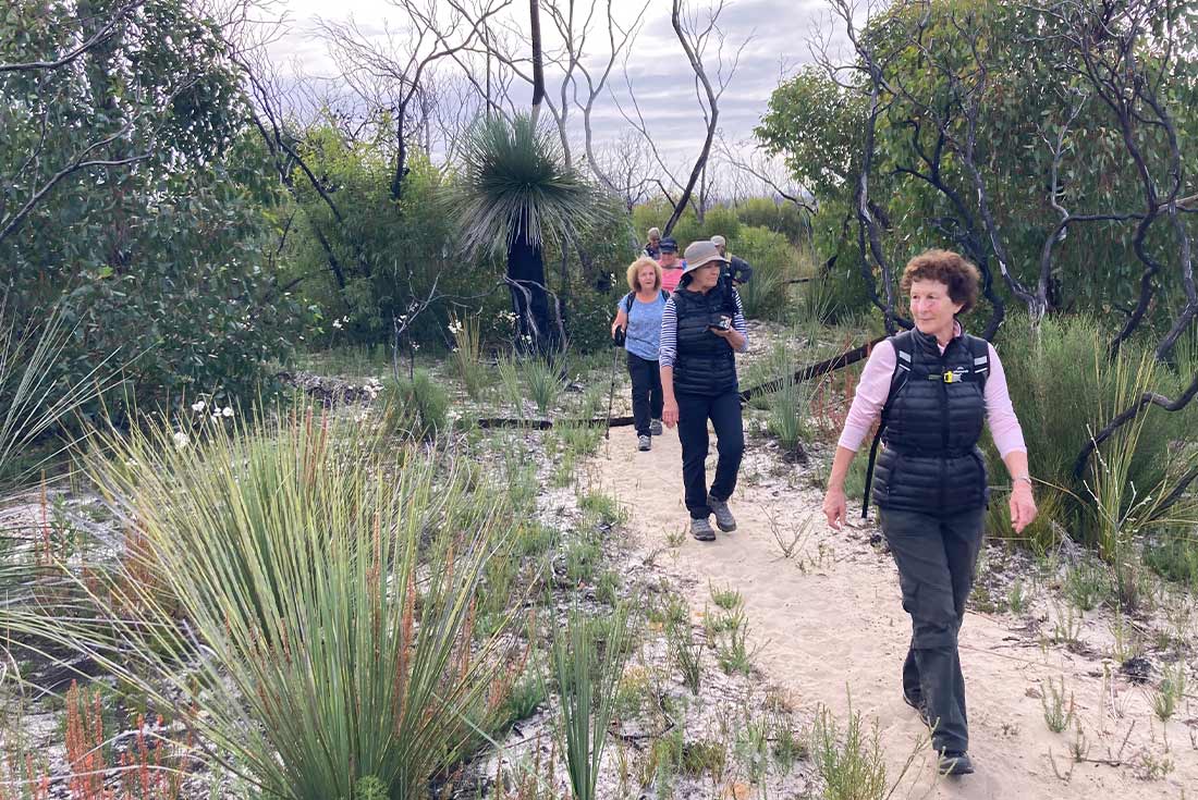 Travellers walking on the beach on the Kangaroo Wilderness Trail, Southern Australia