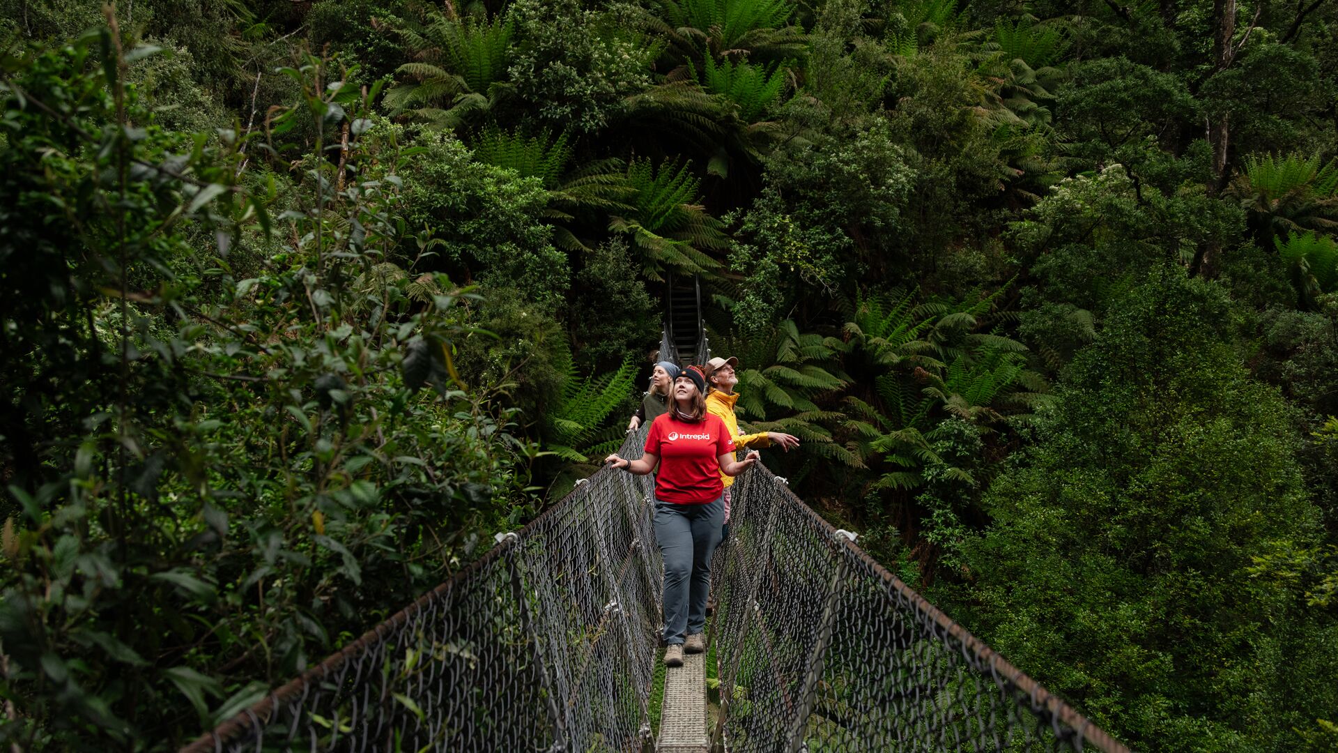 Group walks along a suspension bridge in Tasmania.