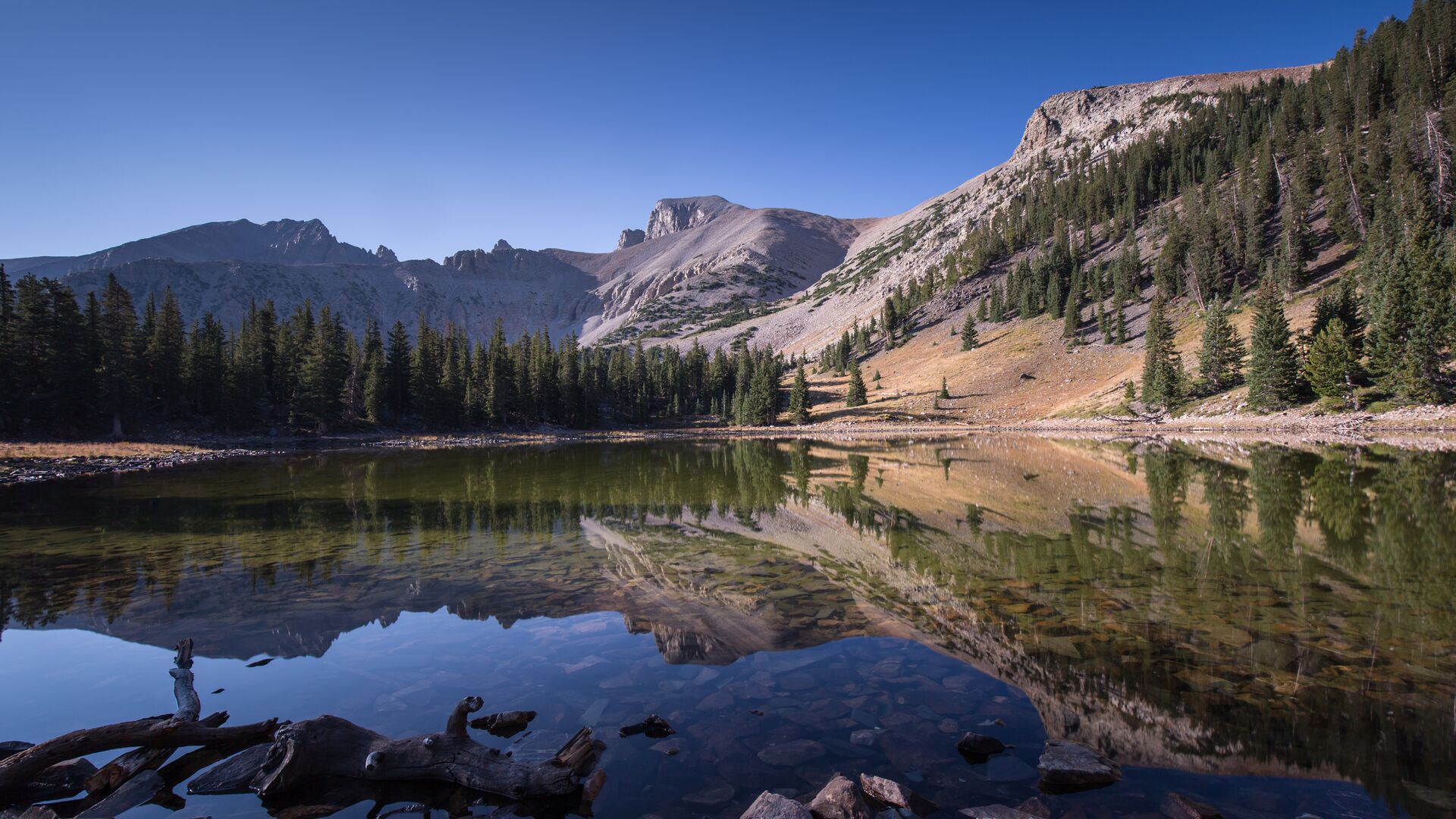 A view from a lake in Great Basin National Park, looking up at a mountain and a clear blue sky.