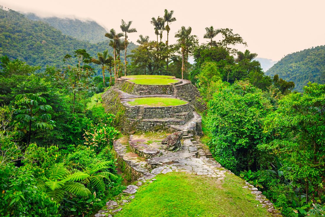Stepped flat plazas that made the bases for huts surrounded by jungle on all sides in Ciudad Perida, the Lost City