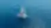Catamaran 44