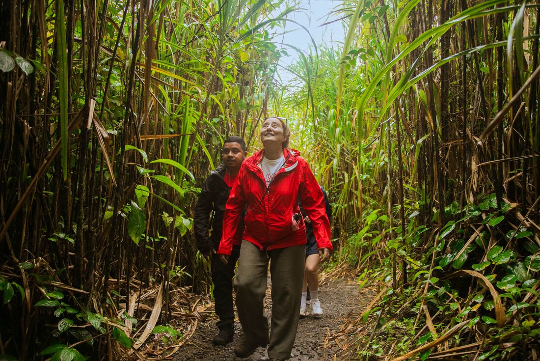 Exploring the rainforests of Costa Rica with Intrepid Travel