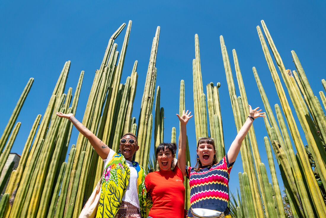 Share joyous moments in the incredible city of Oaxaca