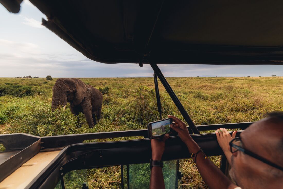 Capturing the moment a 60 year old elephant approached up to the safari jeep in Serengeti National park