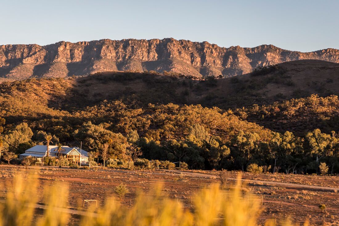 Wide view of the Arkaba accomodation facilities during golden hour with shrubs in the foreground and red rocky landscape in the background, South Australia