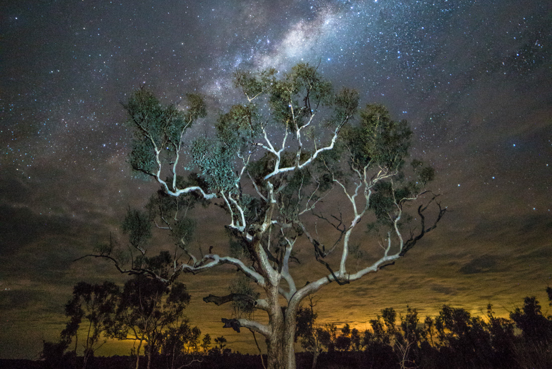 Milky Way over Karijini National Park gum trees in landscape 