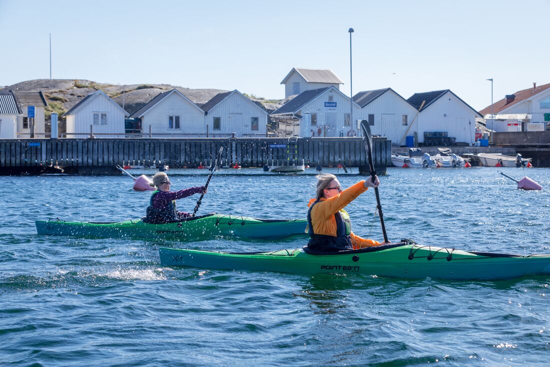 Intrepid Travellers paddle out sea kayaking at Vrångö Island in Sweden