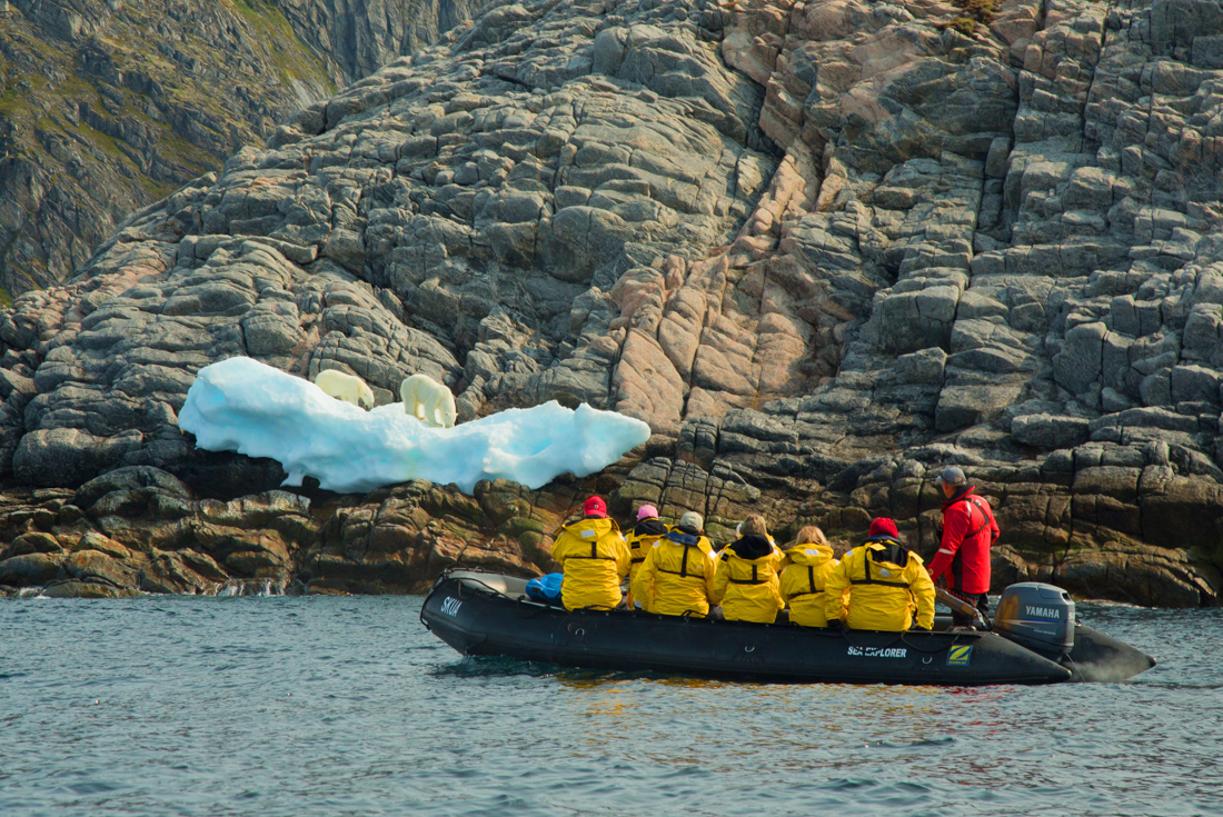 Travellers on zodiac ride spot polar bears on an ice floe on the high arctic coast in off Beechey Island