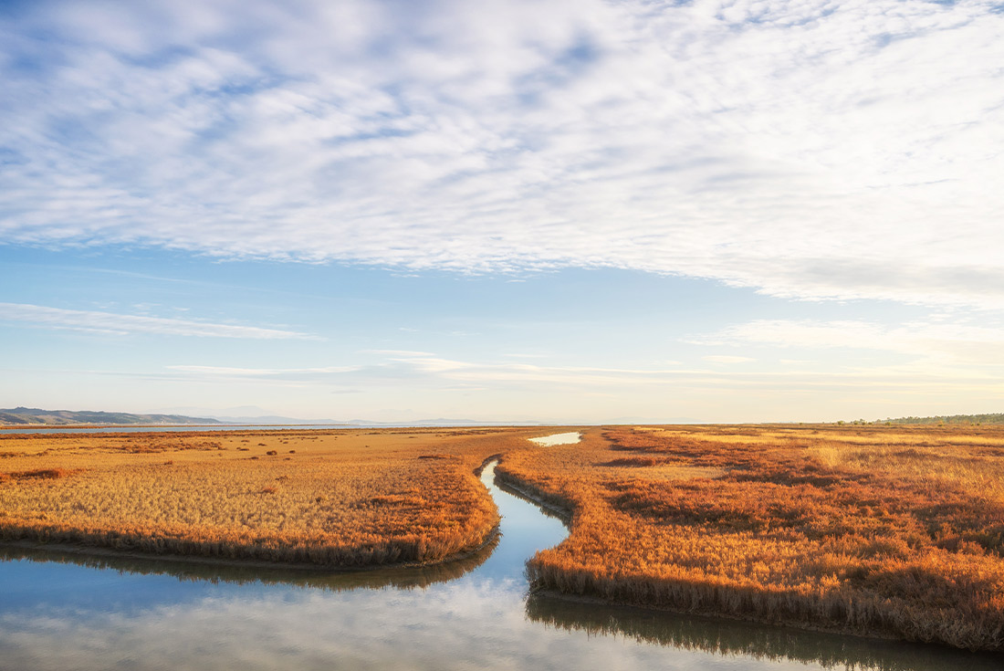Divijaka Karavasta National Park, Albania