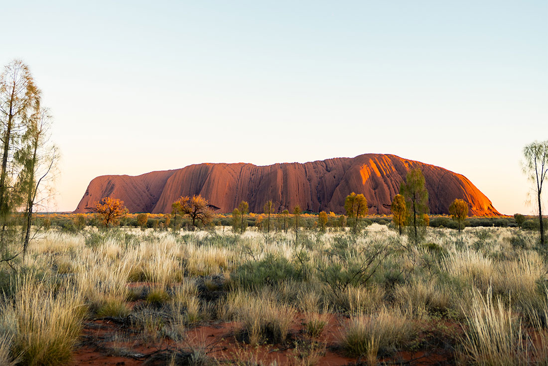 Uluru at sunrise